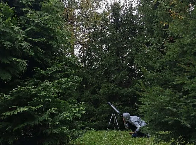 Apartamento Fantazija